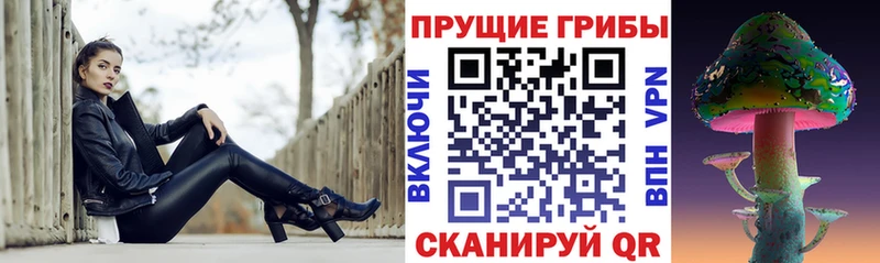 Псилоцибиновые грибы Psilocybe  дарнет шоп  Цимлянск 