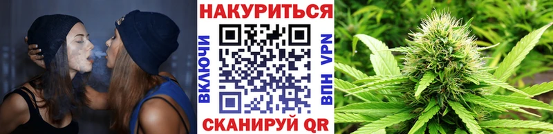 Каннабис ГИДРОПОН  где найти наркотики  Цимлянск 